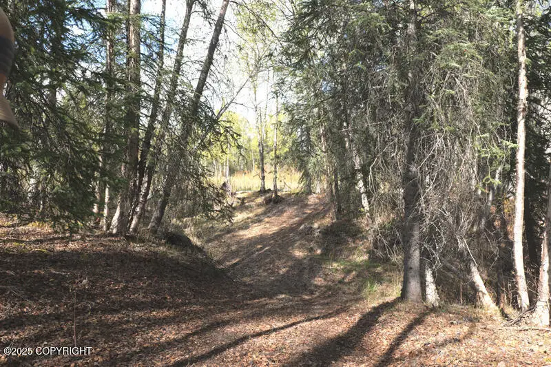 60.5 Tok Cut Off Highway, Mentasta Lake, AK 99573 - Image #2
