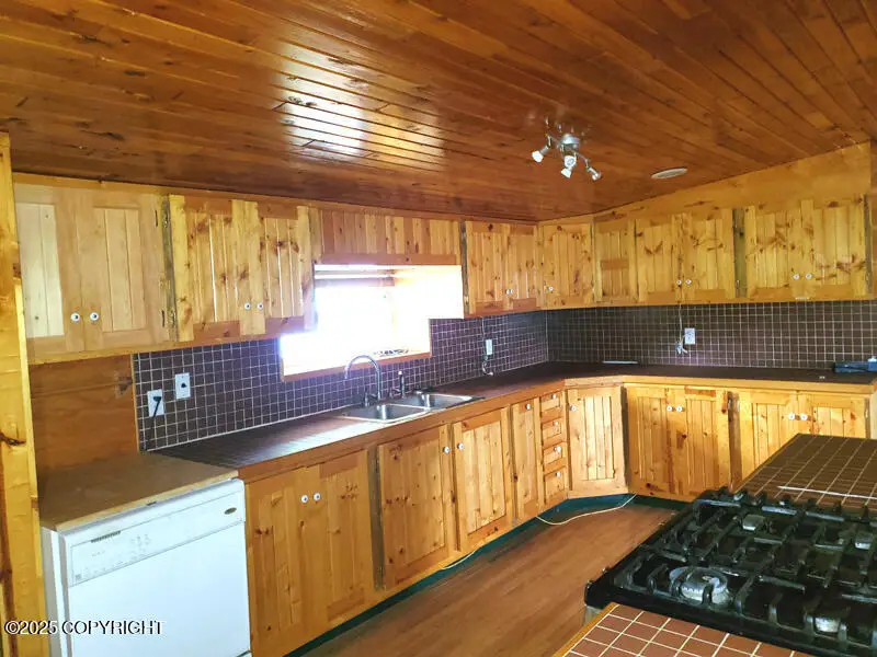 60.5 Tok Cut Off Highway #1-8.55, Slana, AK 99586 - Image #2