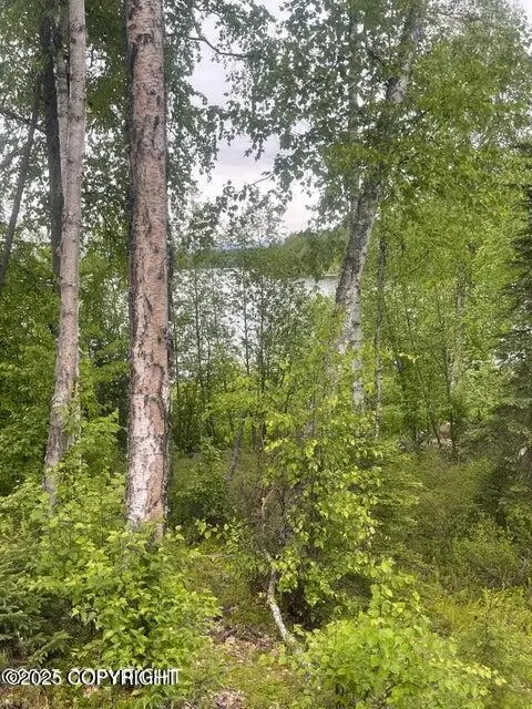 L22 Call Of The Wild Circle, Big Lake, AK 99623 - Image #2