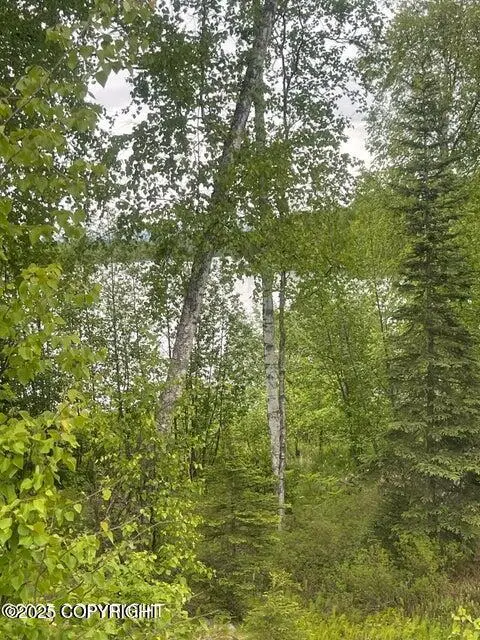 L22 Call Of The Wild Circle, Big Lake, AK 99623 - Image #3