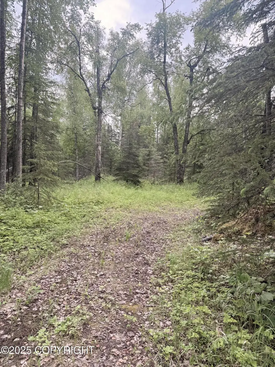 0000 S Blarney Circle, Wasilla, AK 99623 - Image #2