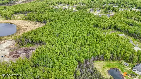 6458 W Creeksedge Drive, Wasilla, AK 99623