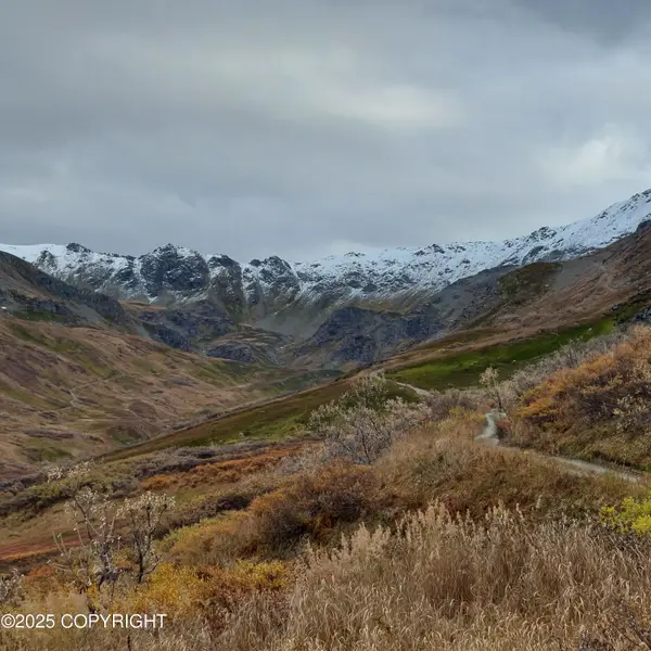 Mile 18 Willow-fishhook Road, Willow, AK 99688