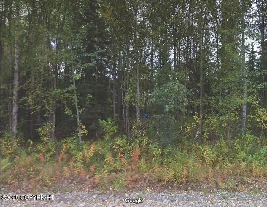 12262 W Wonderland Drive, Houston, AK 99623 - Image #2