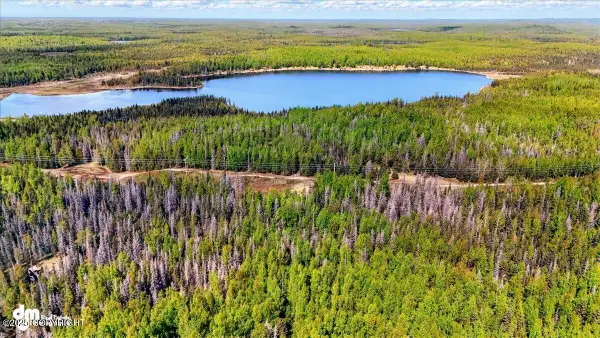 L15 Moosetadon Drive, Sterling, AK 99669