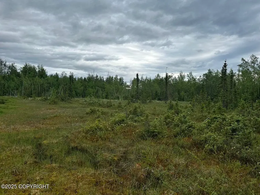 1706 S Pinecrest Circle, Houston, AK 99694 - Image #2