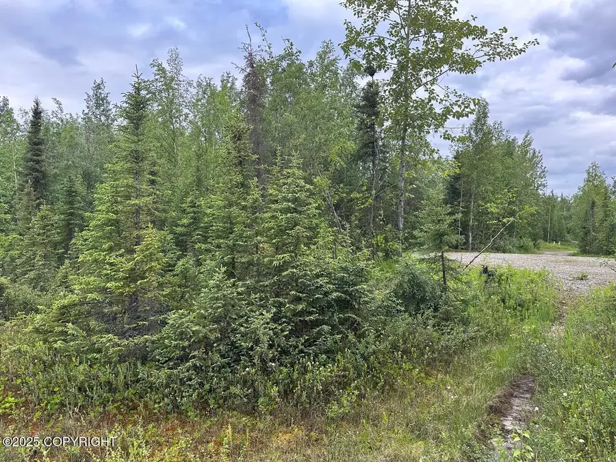 1706 S Pinecrest Circle, Houston, AK 99694 - Image #3