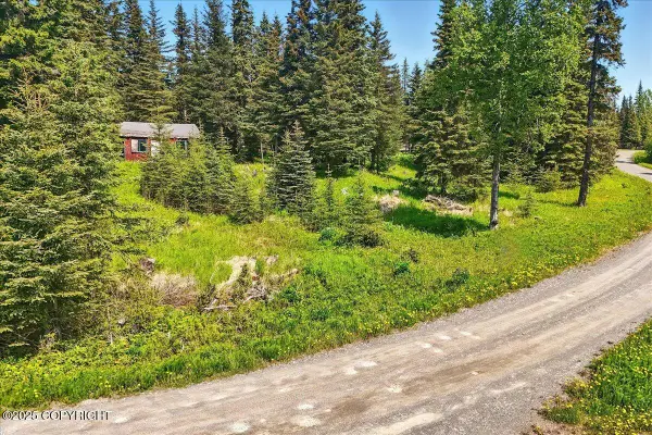 67290 Kiana Drive, Ninilchik, AK 99639