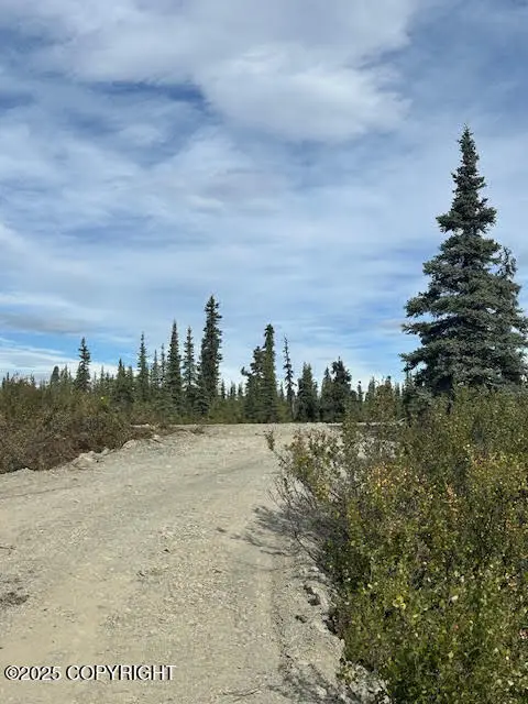 49296 S Timberwolf Road, Chickaloon, AK 99674