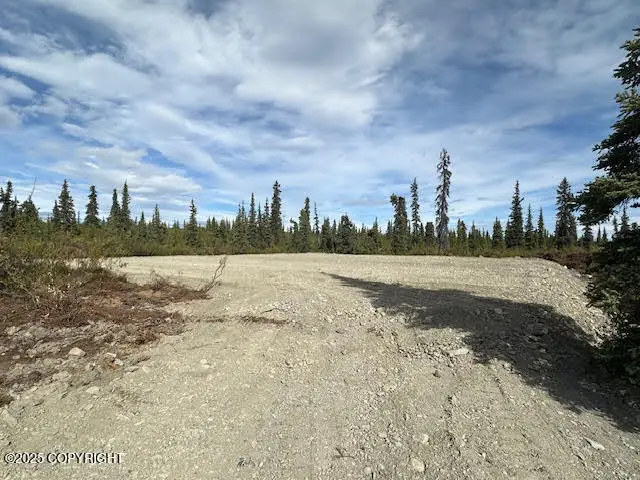 49296 S Timberwolf Road, Chickaloon, AK 99674 - Image #3