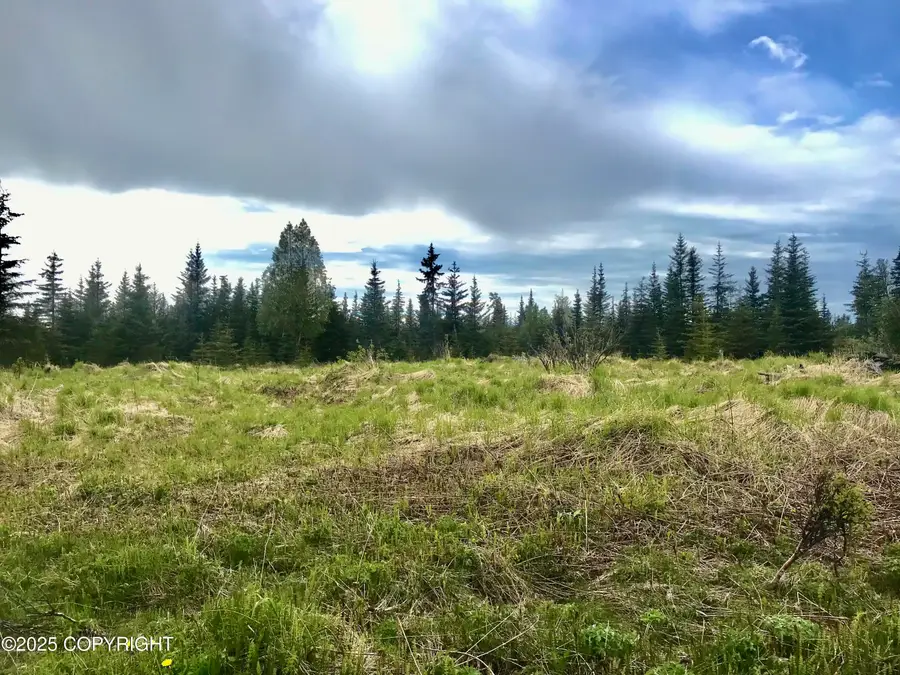 67212 Homestead Road, Ninilchik, AK 99639 - Image #2