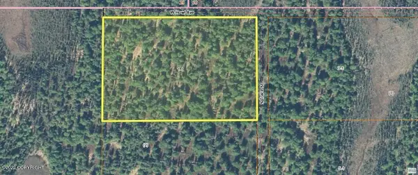 NHN W Howl Avenue, Trapper Creek, AK 99683