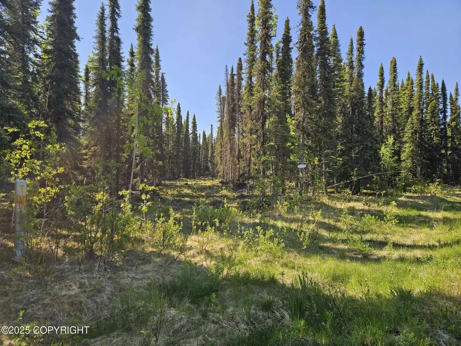 34831 Laura Lane, Soldotna, AK 99669 - Image #2