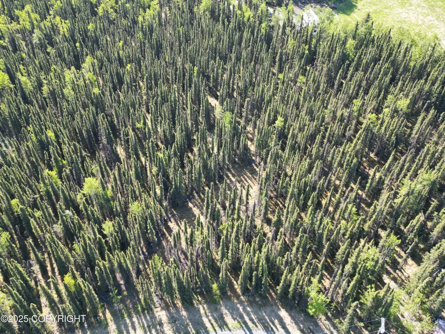 34831 Laura Lane, Soldotna, AK 99669 - Image #3