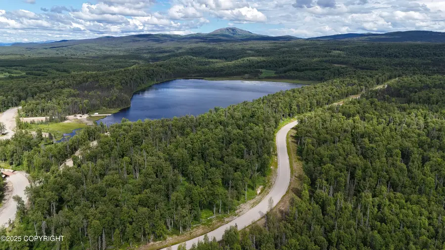 21439 E Quarah Lake Avenue, Talkeetna, AK 99676 - Image #3
