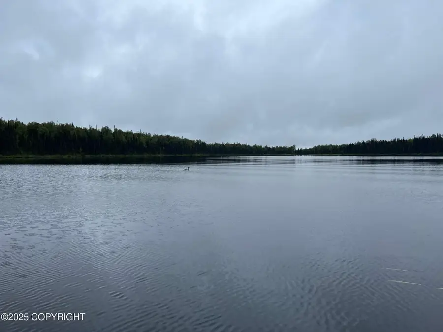 21283 E Quarah Lake Avenue, Talkeetna, AK 99676 - Image #2