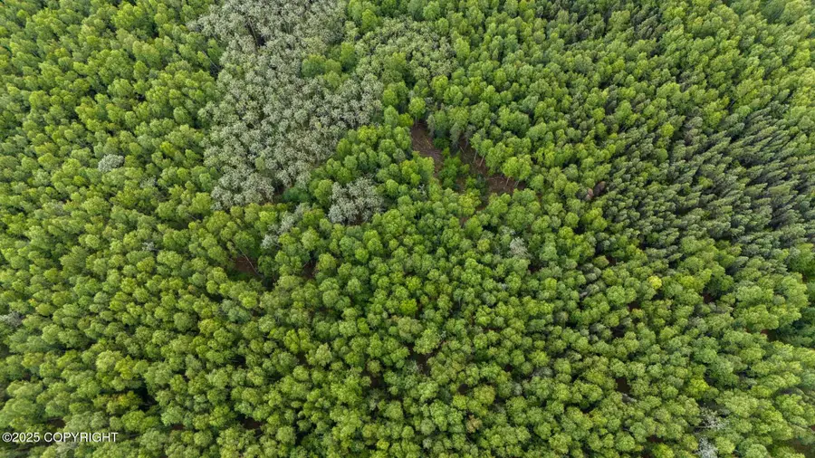 NHN Grand Teton Road, Fairbanks, AK 99709 - Image #3