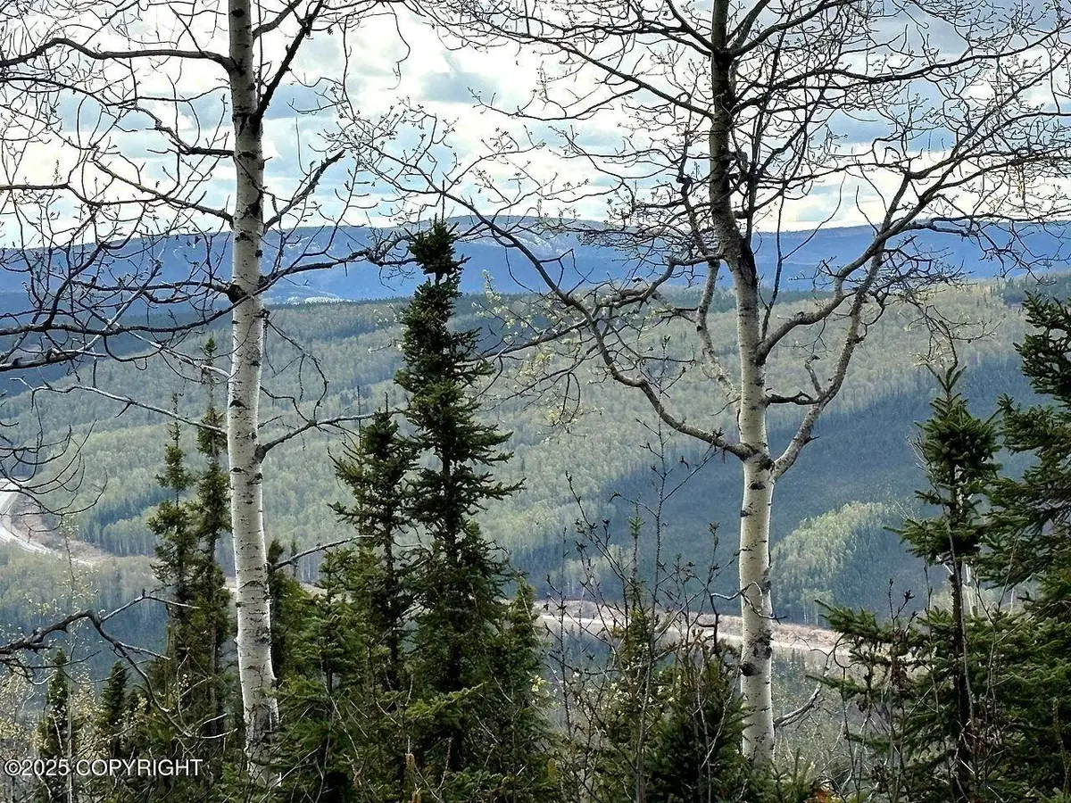 L32 B3 Olnes Loop Road, Fairbanks, AK 99712 - Image #1