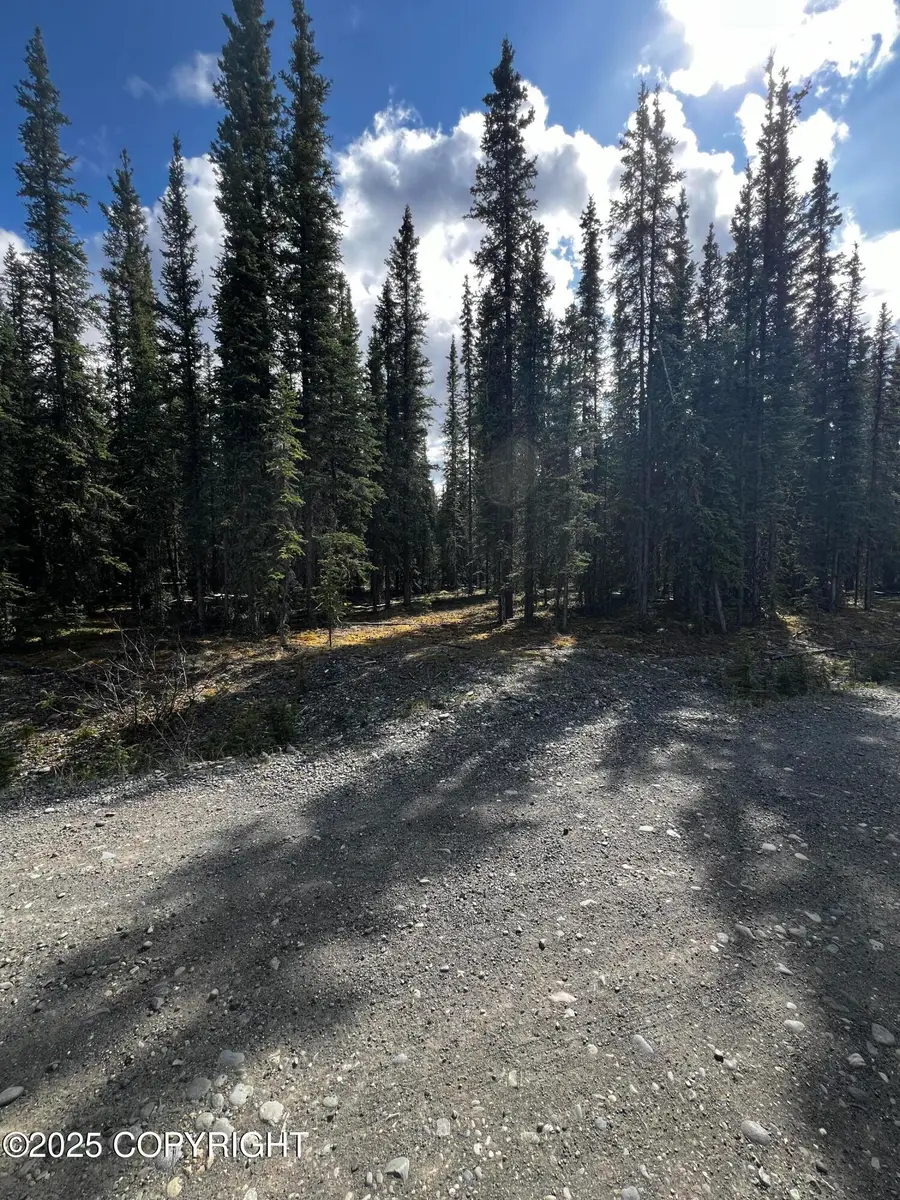 1G Alaska Highway, Tok, AK 99780 - Image #2