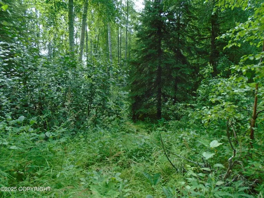 15032 W Necrason Drive, Big Lake, AK 99652 - Image #2