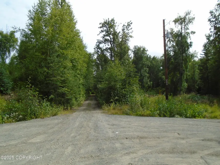 15032 W Necrason Drive, Big Lake, AK 99652 - Image #3
