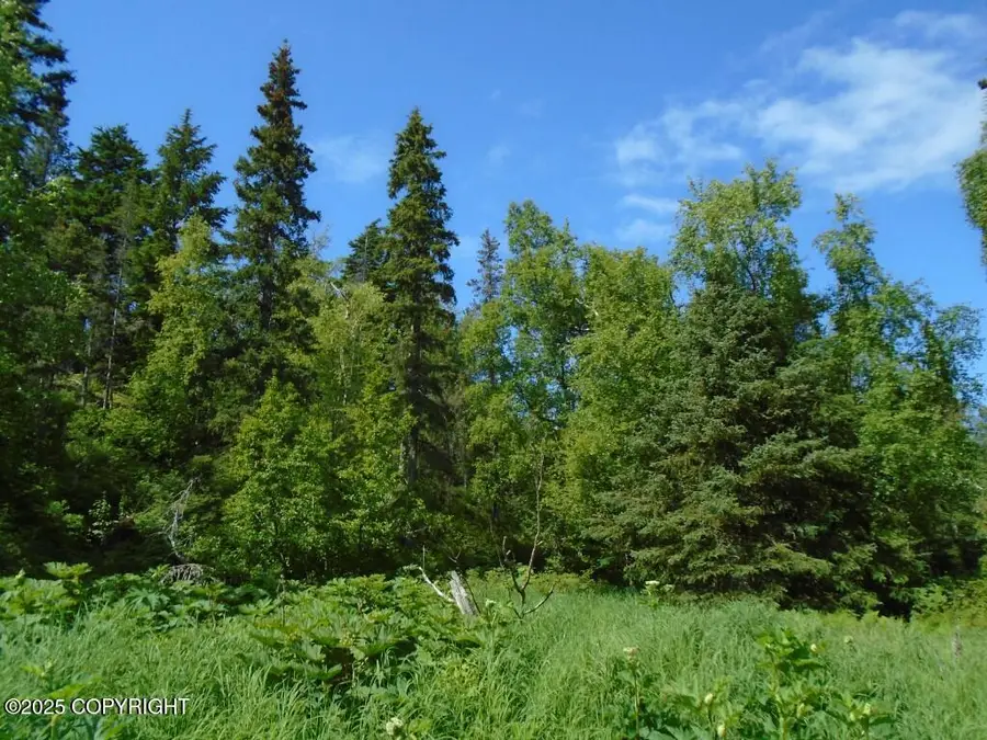 L4 Stone Ridge Road, Anchorage, AK 99516 - Image #3