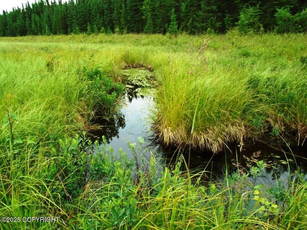 8581 W Skyview Drive, Wasilla, AK 99623 - Image #1