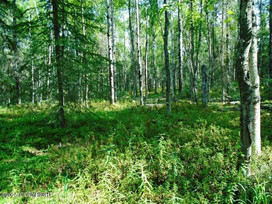 8581 W Skyview Drive, Wasilla, AK 99623 - Image #2