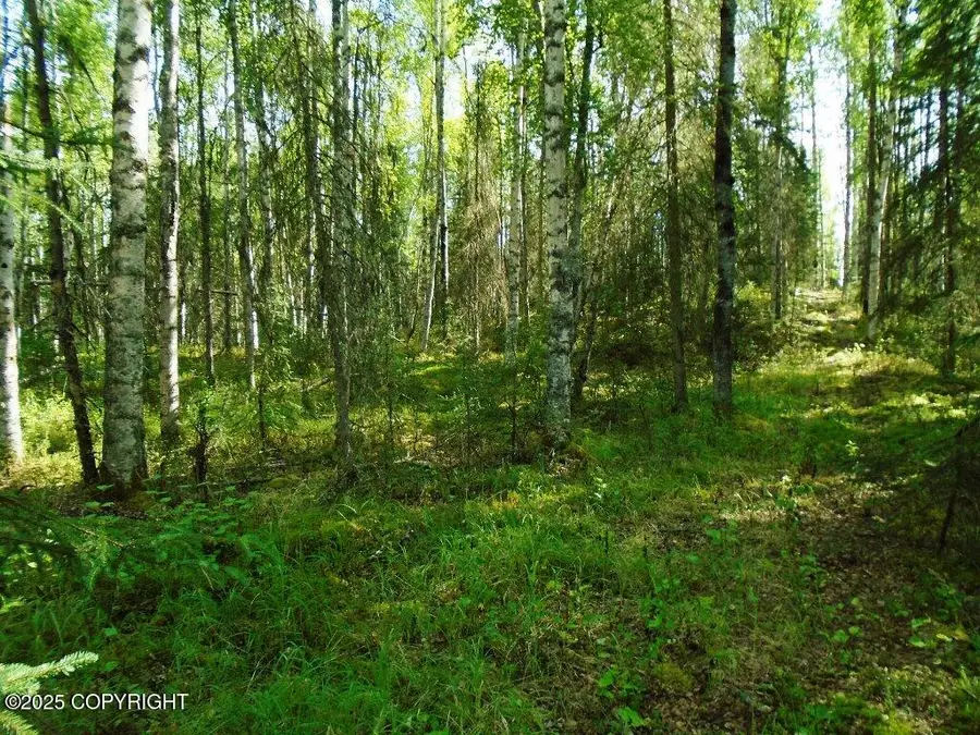 8581 W Skyview Drive, Wasilla, AK 99623 - Image #3