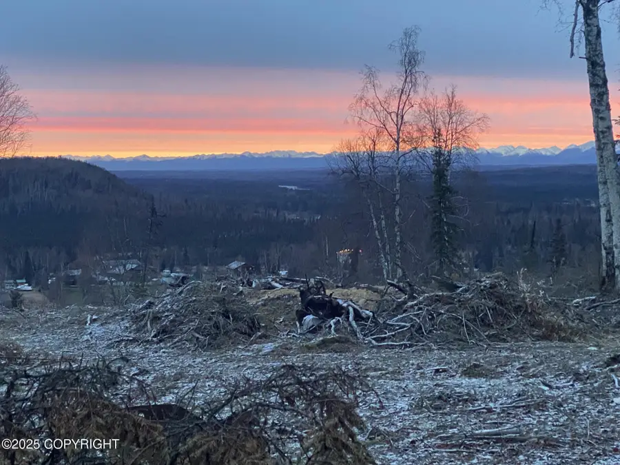 L10A Carnation Court, Soldotna, AK 99669 - Image #3