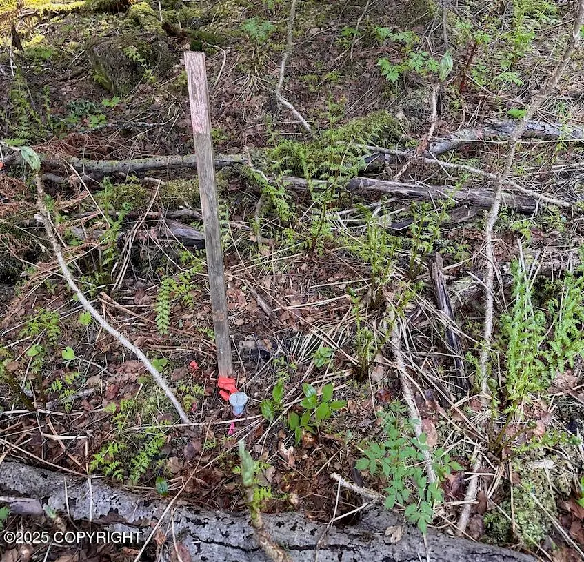 Lot 2A Haven Court, Haines, AK 99827 - Image #2