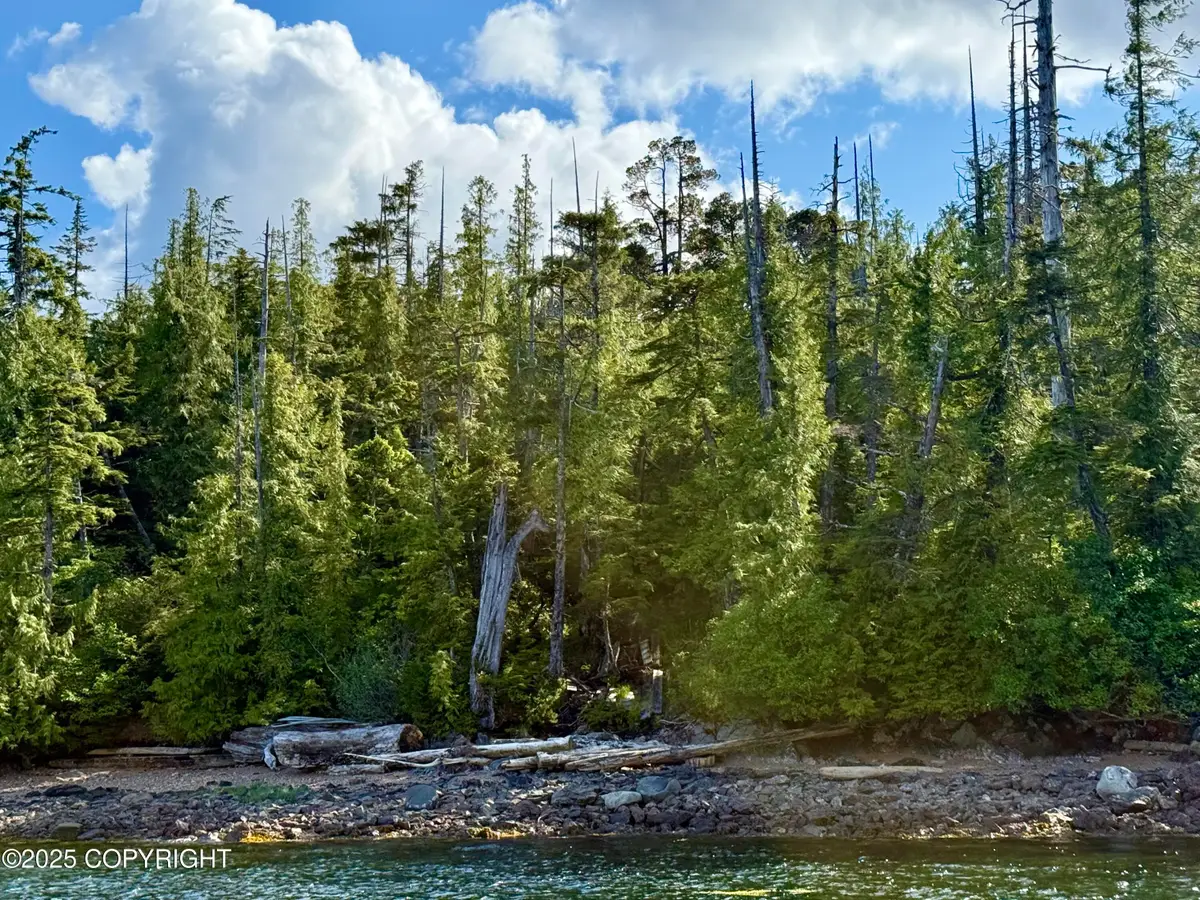 L8 B2 Gravina Island, Ketchikan, AK 99901 - Image #1