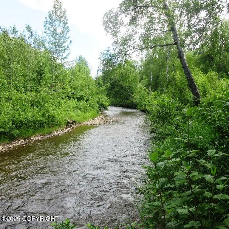 Tr G Parks Highway, Talkeetna, AK 99676 - Image #1