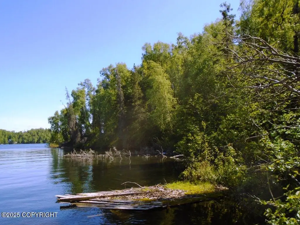 Tract A W Big Lake, Big Lake, AK 99652 - Image #1