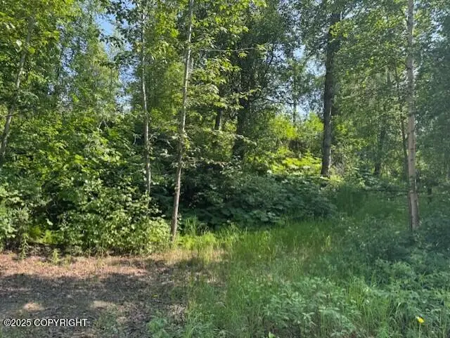 39578 S Malaspina Loop, Talkeetna, AK 99676 - Image #2