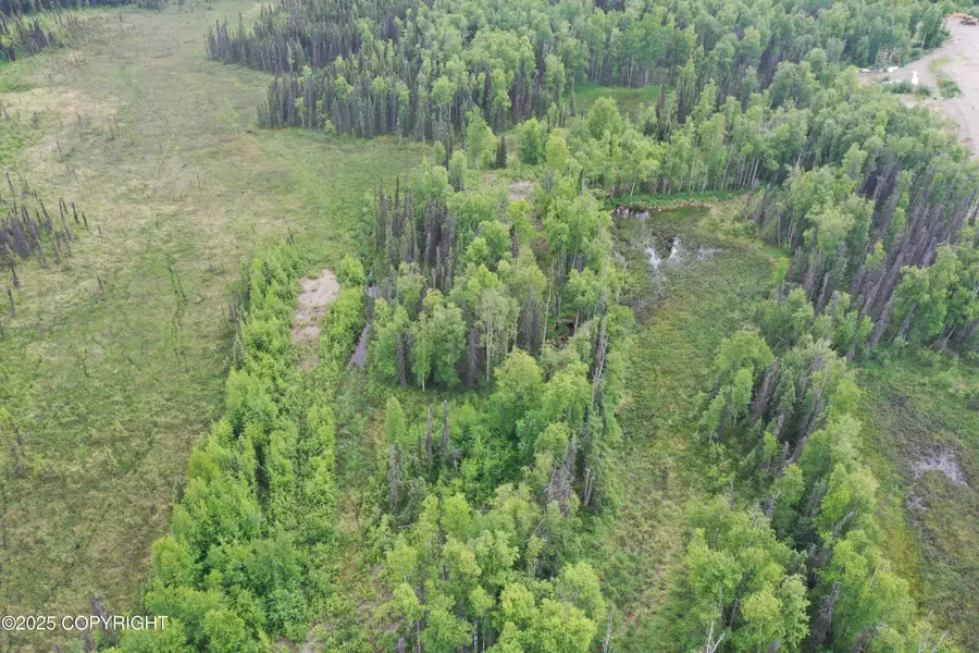 12376 W Hawk Lane, Big Lake, AK 99623 - Image #2