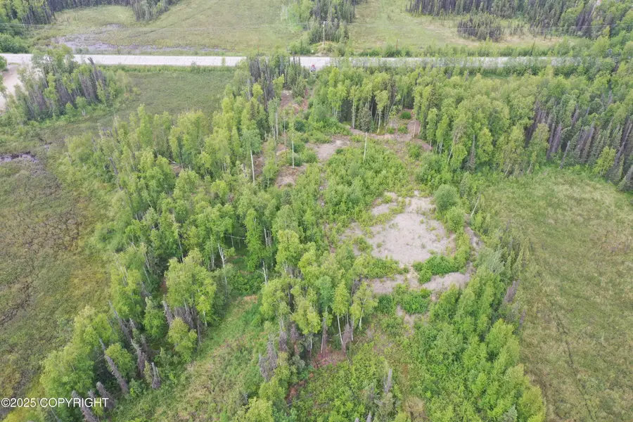 12376 W Hawk Lane, Big Lake, AK 99623 - Image #3