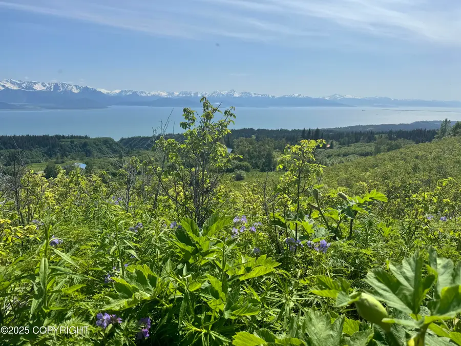 L4 East End Road, Homer, AK 99603 - Image #3