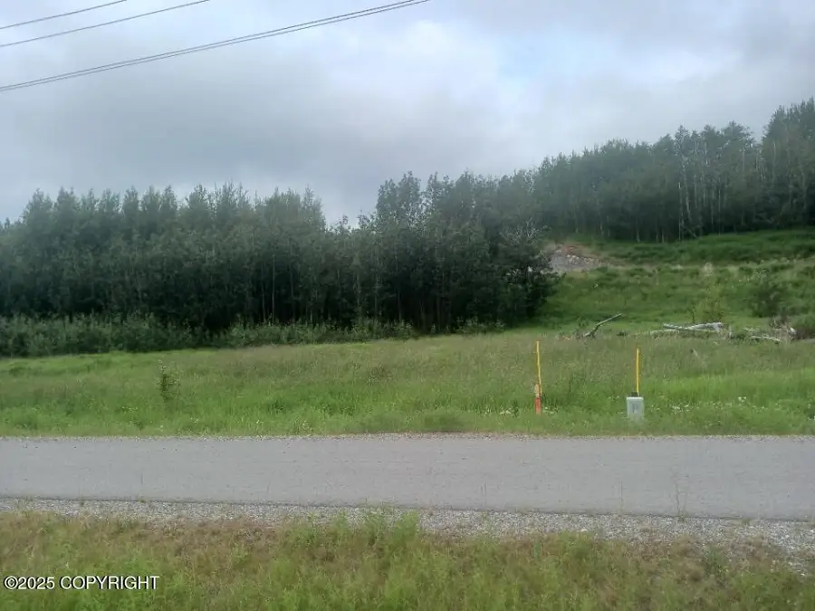 Tr B S Margaret Drive, Palmer, AK 99645 - Image #3