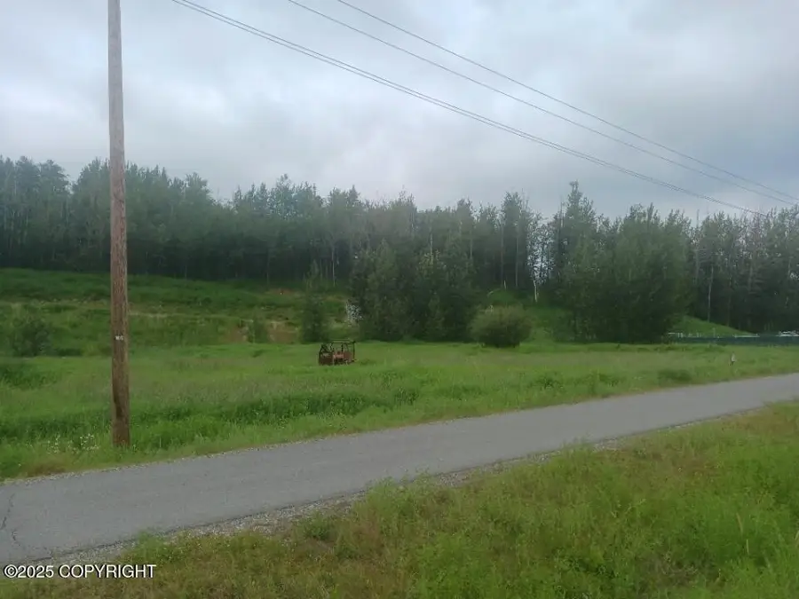 Tr C S Maragret Drive, Palmer, AK 99645 - Image #3