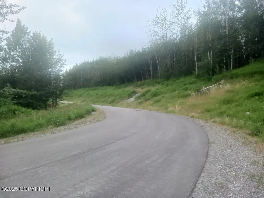 NSN S Margaret Drive, Palmer, AK 99645 - Image #3