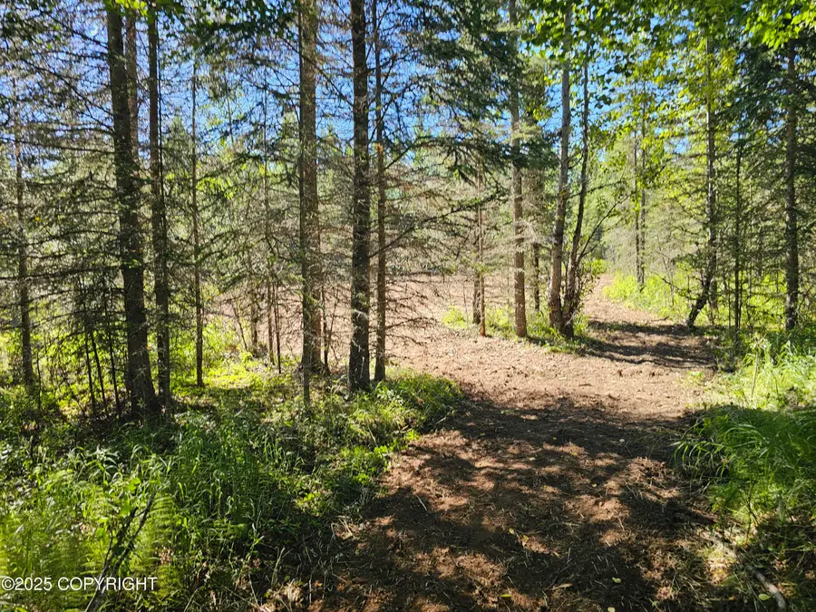 L8 Tolum Road, Kasilof, AK 99610 - Image #3
