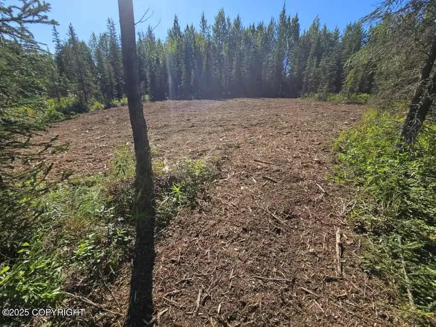 L9 Tolum Road, Kasilof, AK 99610 - Image #3