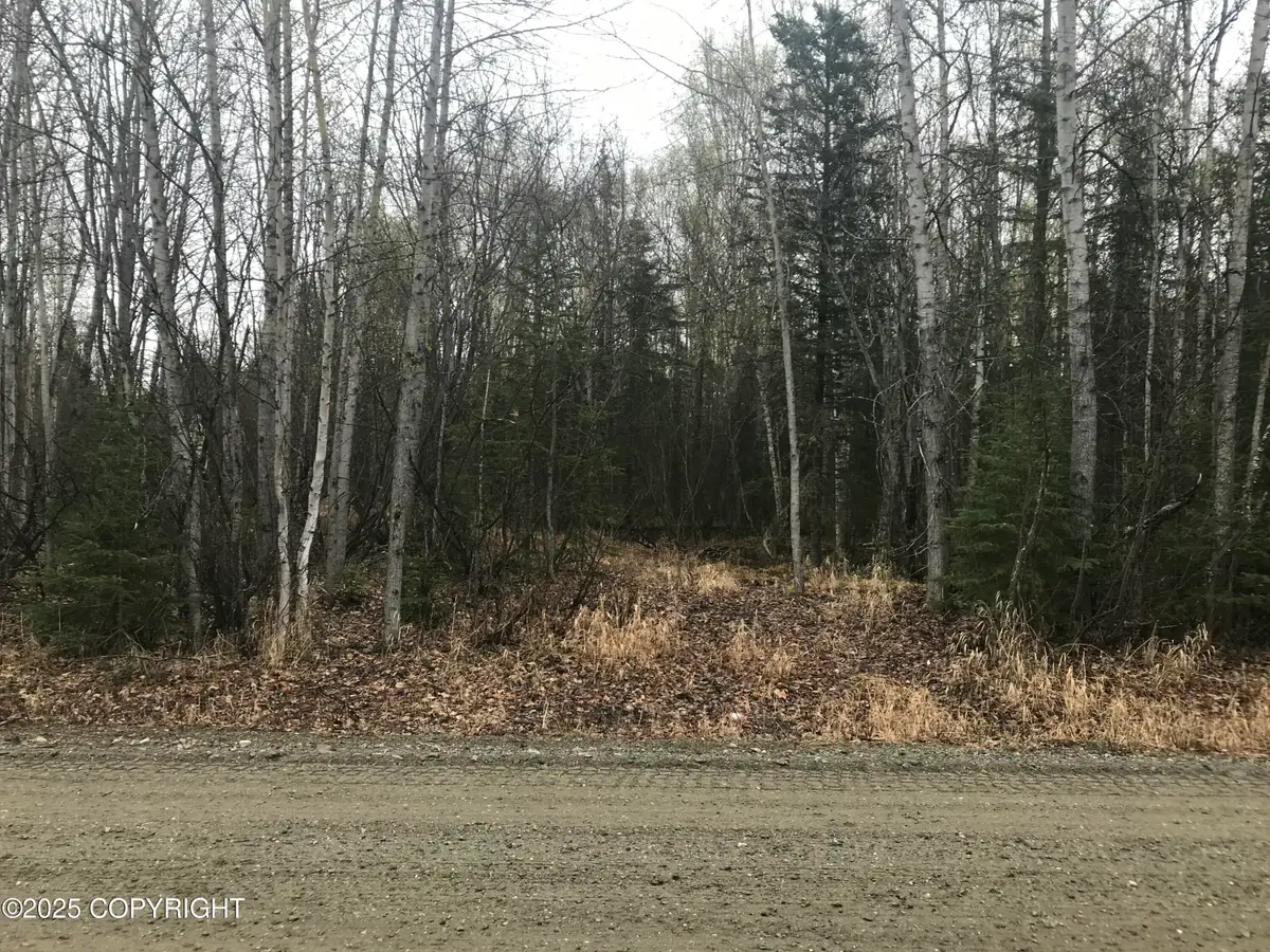 7963 S Lucindas Place, Wasilla, AK 99623 - Image #1