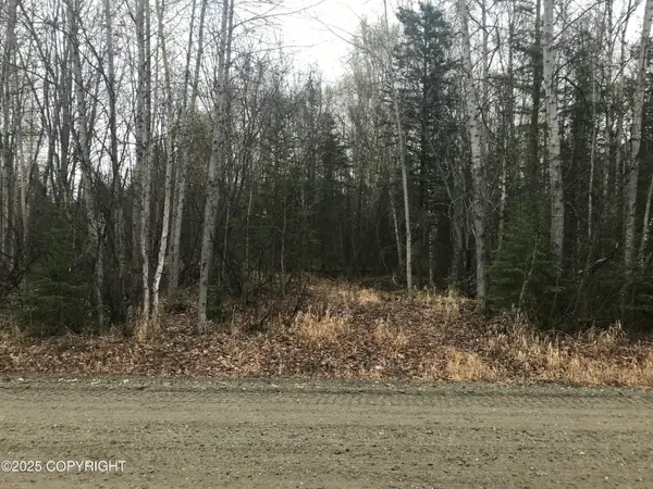 7963 S Lucindas Place, Wasilla, AK 99623