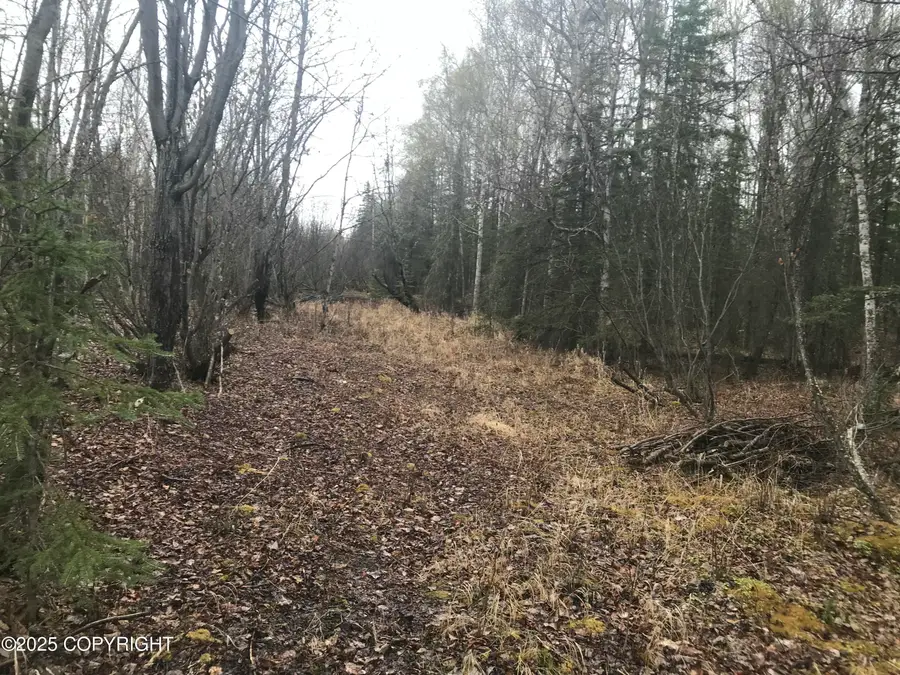 7963 S Lucindas Place, Wasilla, AK 99623 - Image #2