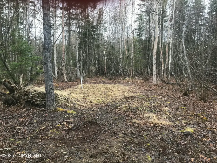 7963 S Lucindas Place, Wasilla, AK 99623 - Image #3