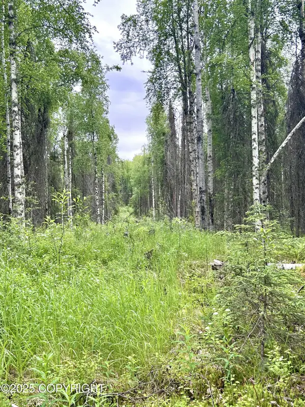 16082 E Greenleaf Drive, Talkeetna, AK 99676