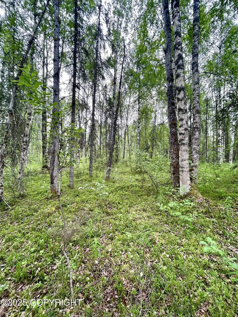 16082 E Greenleaf Drive, Talkeetna, AK 99676 - Image #3