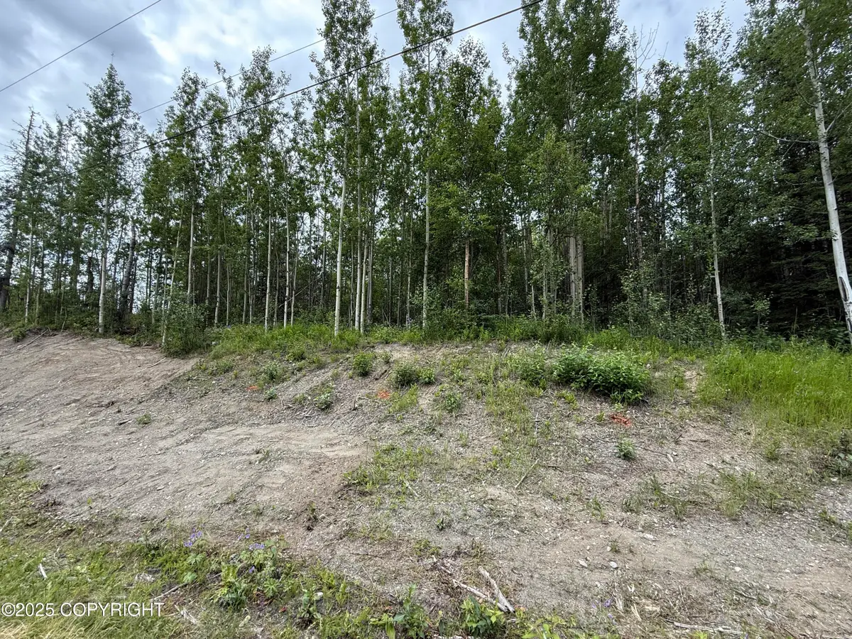 1060 N Hickory Street, Wasilla, AK 99654 - Image #1